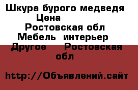 Шкура бурого медведя › Цена ­ 25 000 - Ростовская обл. Мебель, интерьер » Другое   . Ростовская обл.